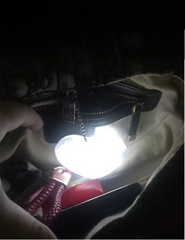 Purse Lamp