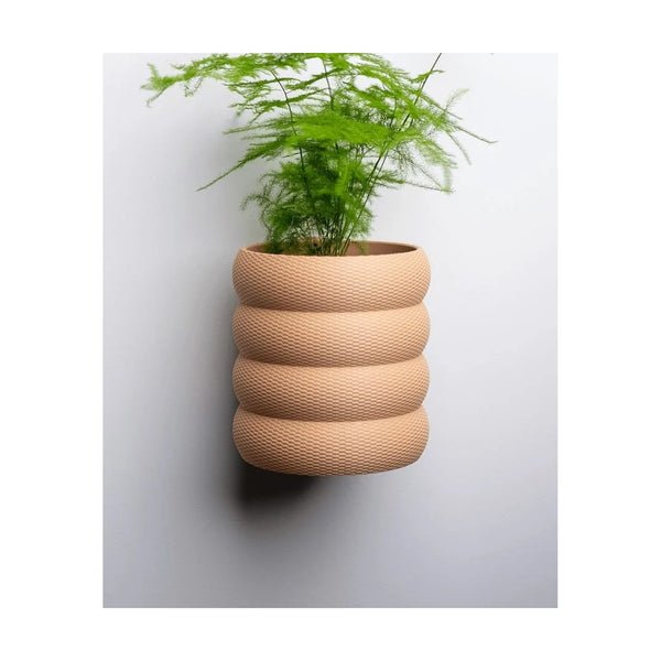 Wall Planter